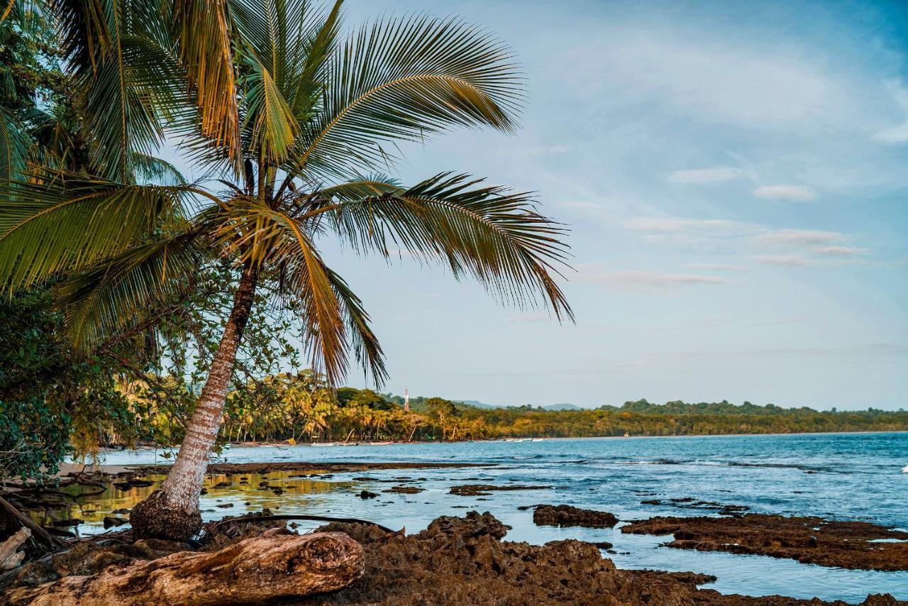 Casitas Las Flores Puerto Viejo de Talamanca Екстер'єр фото