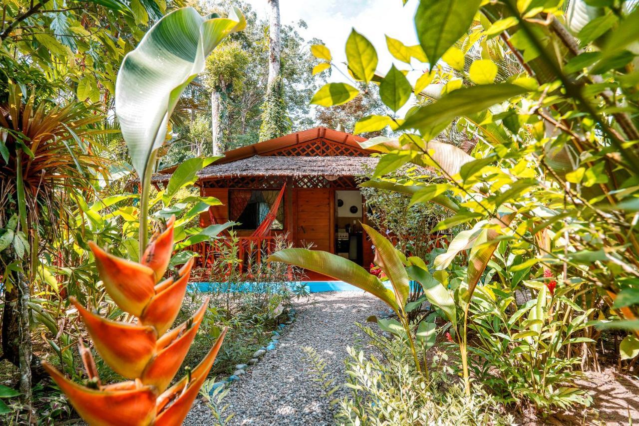 Casitas Las Flores Puerto Viejo de Talamanca Екстер'єр фото