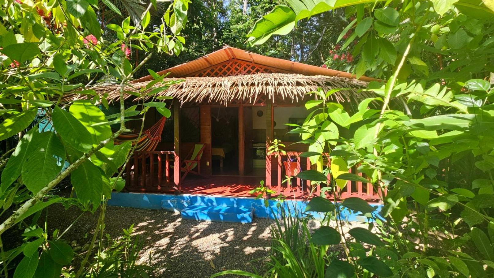 Casitas Las Flores Puerto Viejo de Talamanca Екстер'єр фото