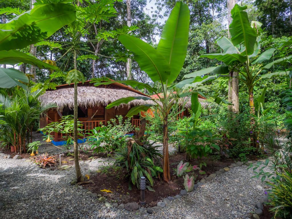 Casitas Las Flores Puerto Viejo de Talamanca Номер фото
