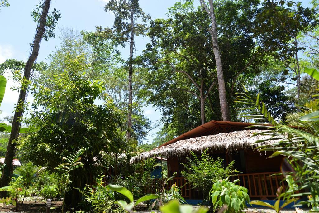 Casitas Las Flores Puerto Viejo de Talamanca Екстер'єр фото