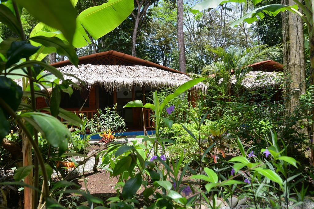 Casitas Las Flores Puerto Viejo de Talamanca Екстер'єр фото