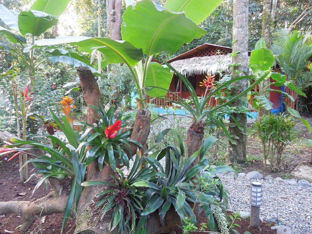 Casitas Las Flores Puerto Viejo de Talamanca Екстер'єр фото