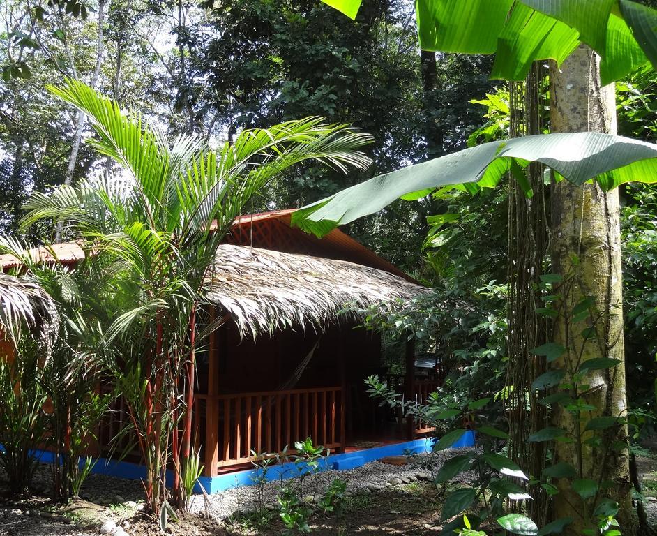 Casitas Las Flores Puerto Viejo de Talamanca Екстер'єр фото