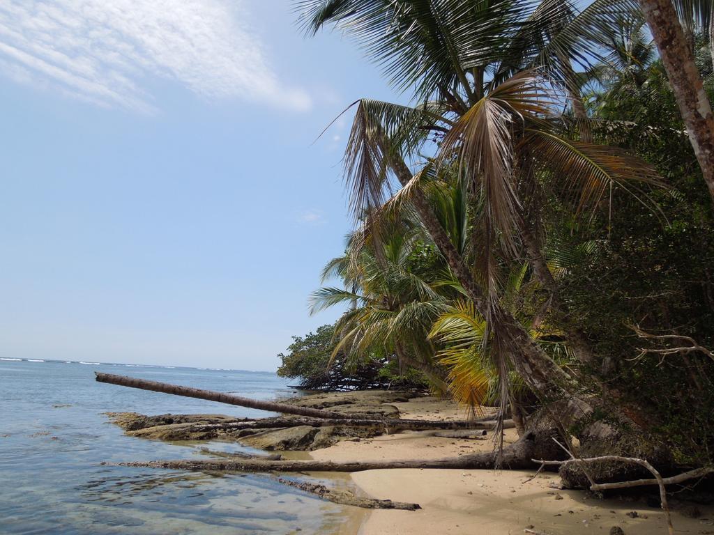 Casitas Las Flores Puerto Viejo de Talamanca Екстер'єр фото