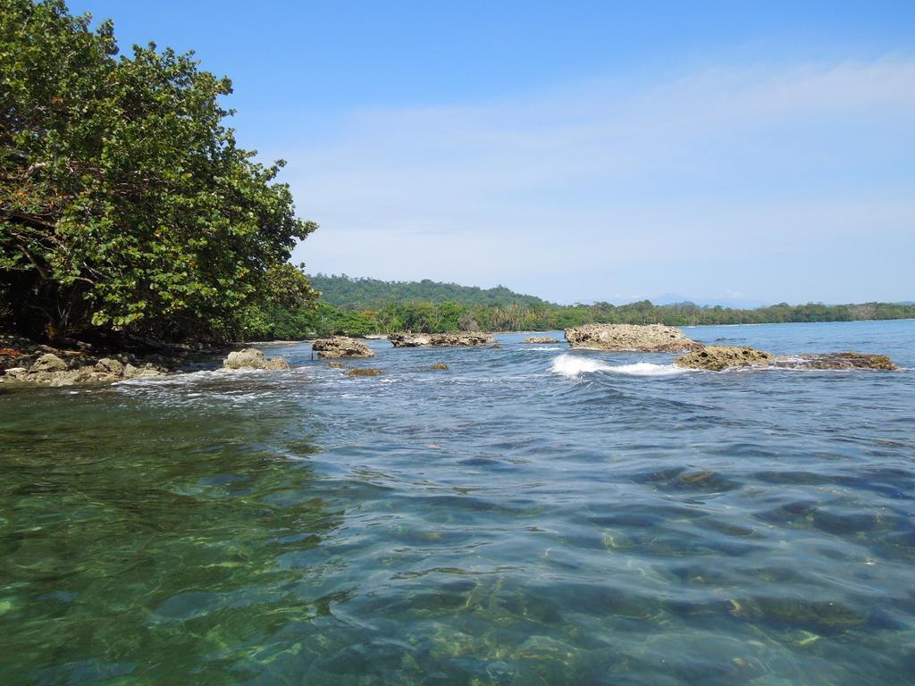 Casitas Las Flores Puerto Viejo de Talamanca Екстер'єр фото