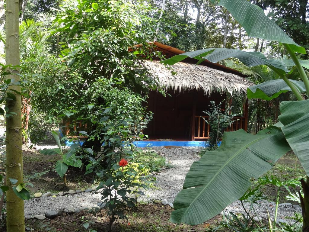 Casitas Las Flores Puerto Viejo de Talamanca Екстер'єр фото